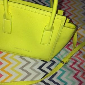 Danielle Nicole purse
